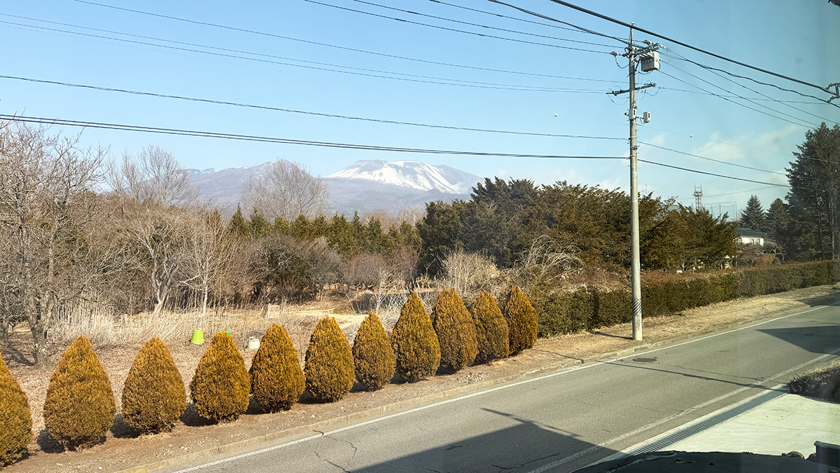 Miyota House View from kitchen